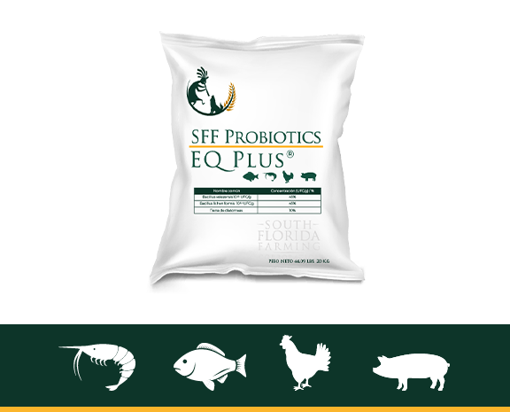 sff probiotics eq plus