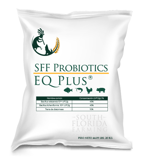 Etiqueta Producto SFF Probiotics