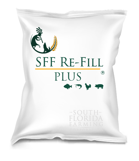 Etiqueta Producto SFF Refill Plus
