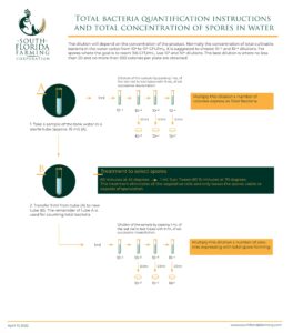 Total bacteria quantification instructions and total concentration of spores in water